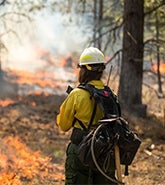 U.S. Wildfire Modeling