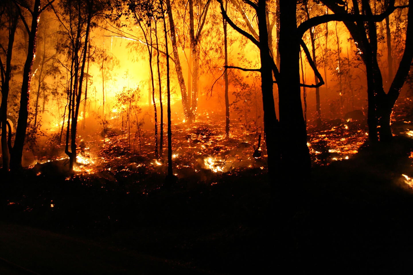 Gain a Single View of Risk With Wildfire Risk Modeling